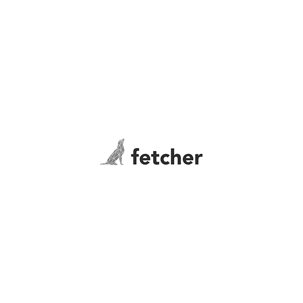 Logo Fetcher